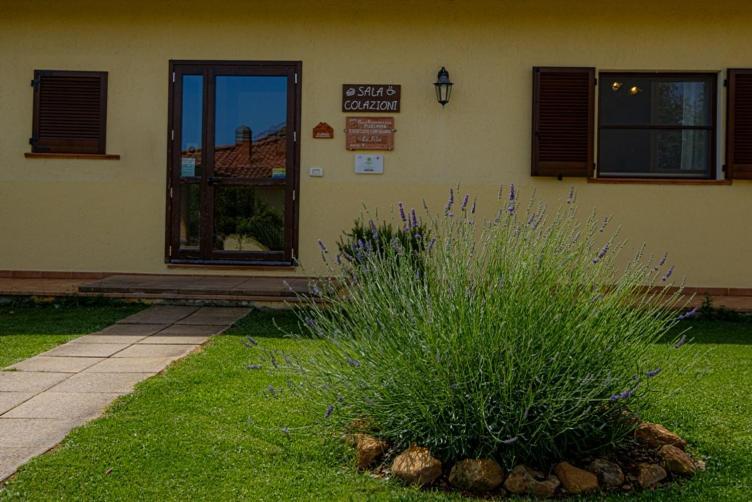 Agriturismo La Fata Villa Grosseto Exterior photo